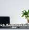 Houseplants Might Be Behind Your Sluggish Wi-Fi