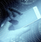 How Contactless Payments Can Improve Business
